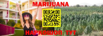 гашик Лесосибирск