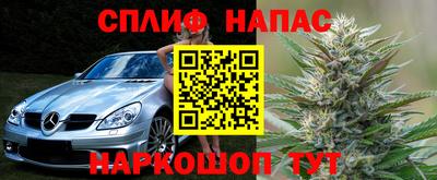гашик Лесосибирск