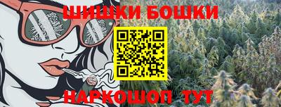 гашик Лесосибирск