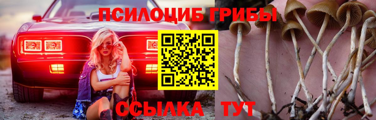 Псилоцибиновые грибы прущие грибы Дзержинск